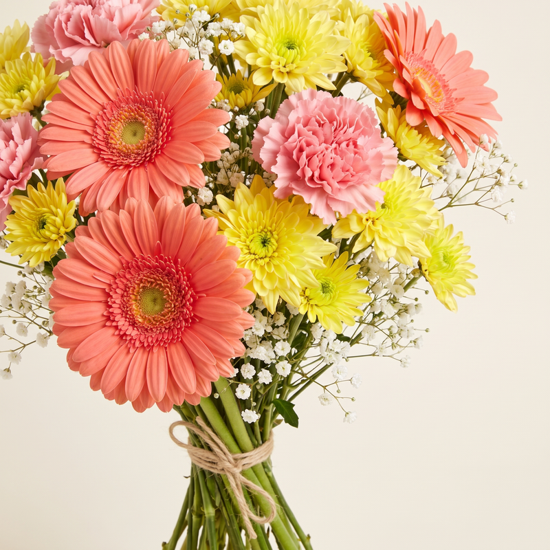 The Marigold detail