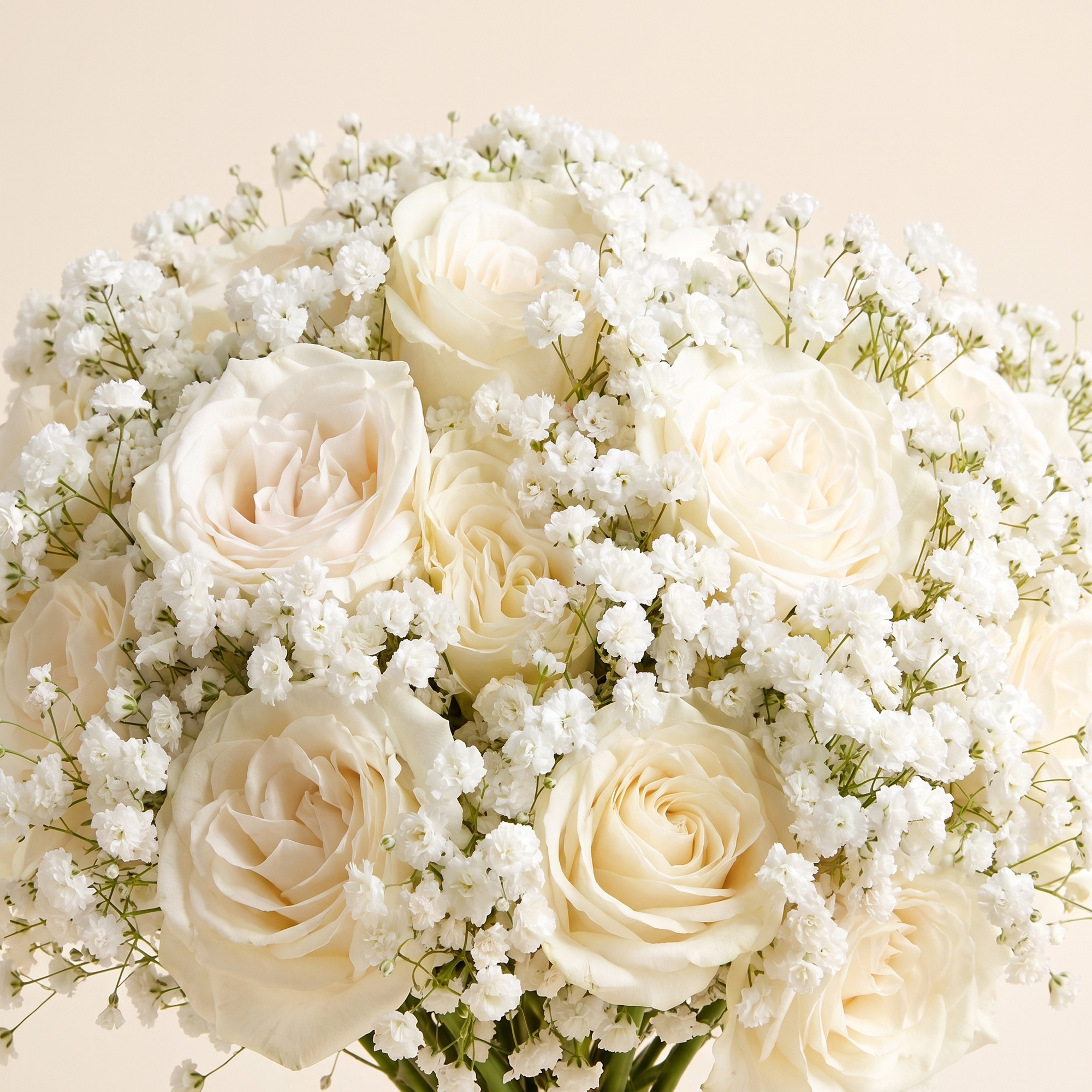 Bridal