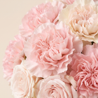 The Camellia detail