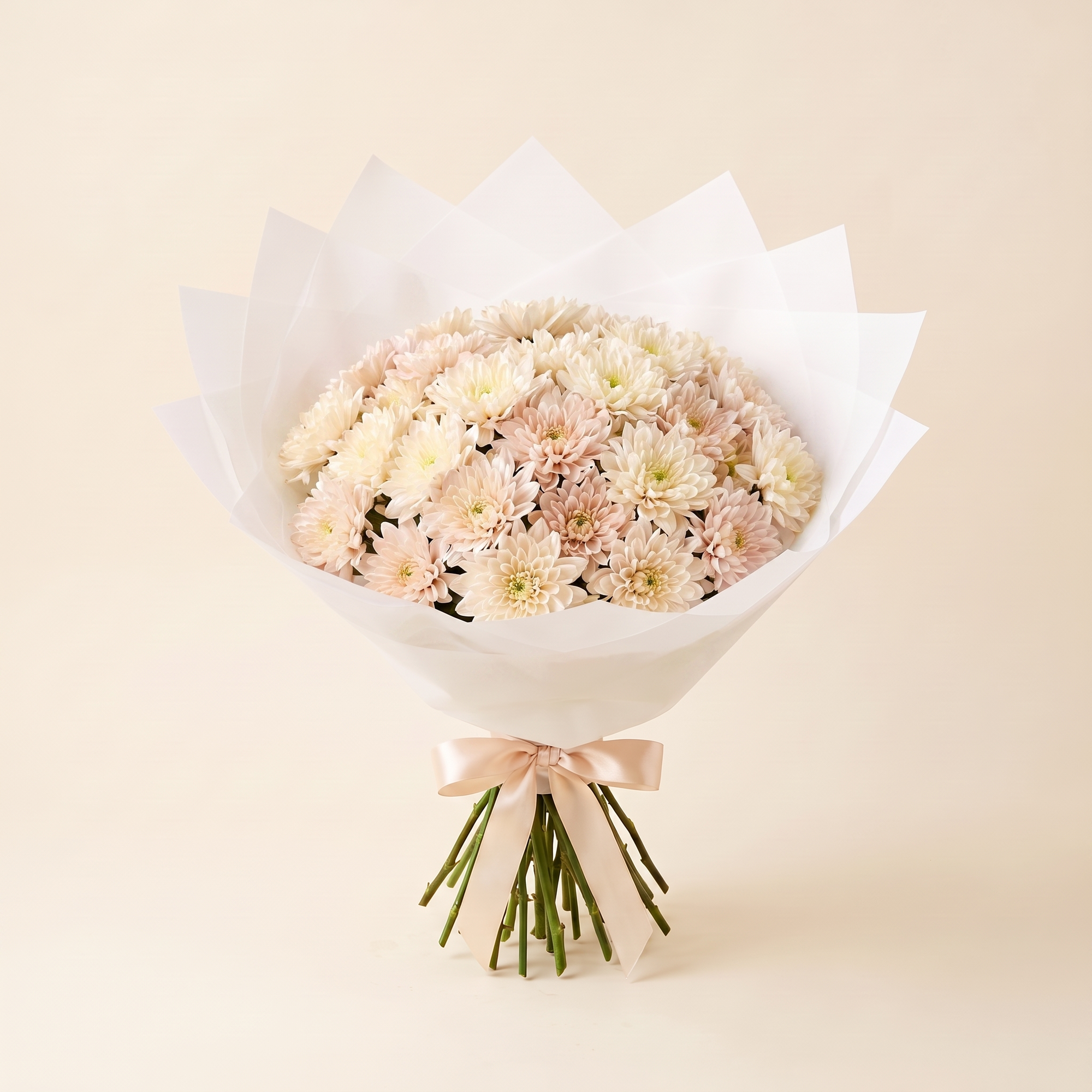 Chrysanthemums