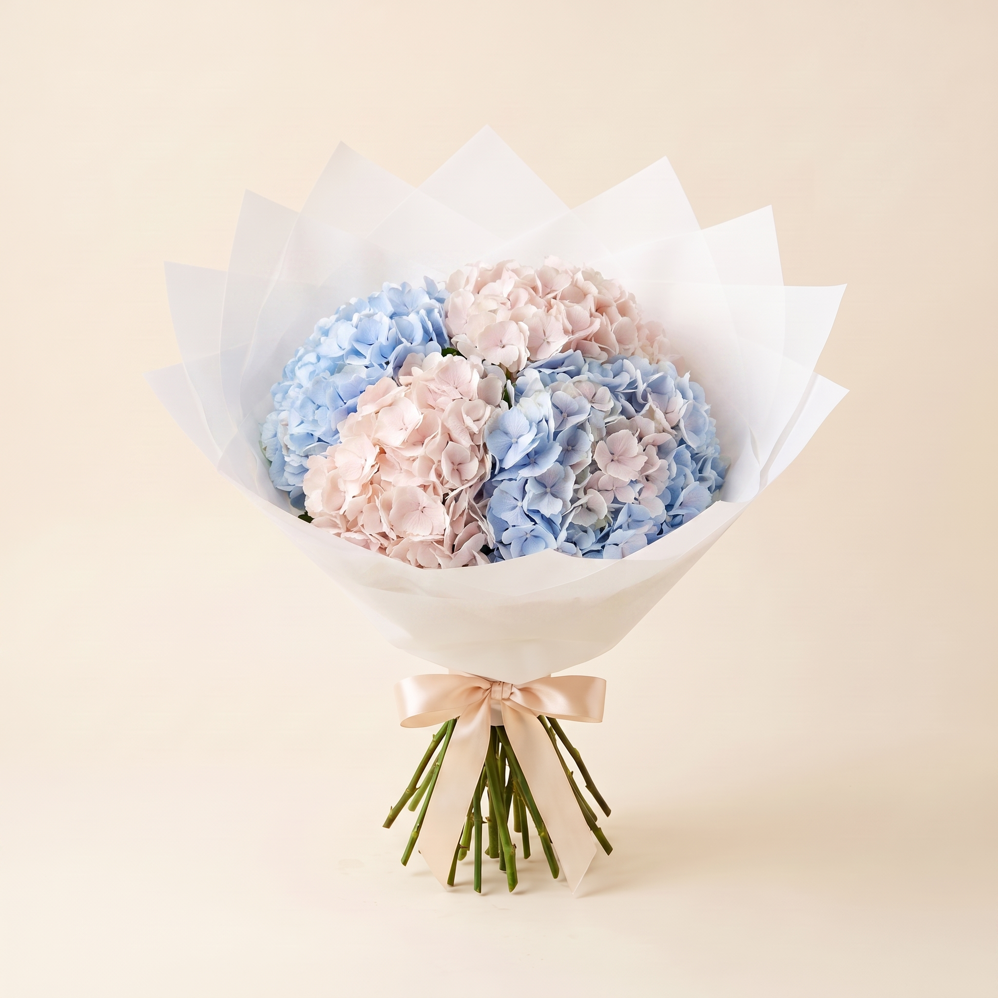 Hydrangeas